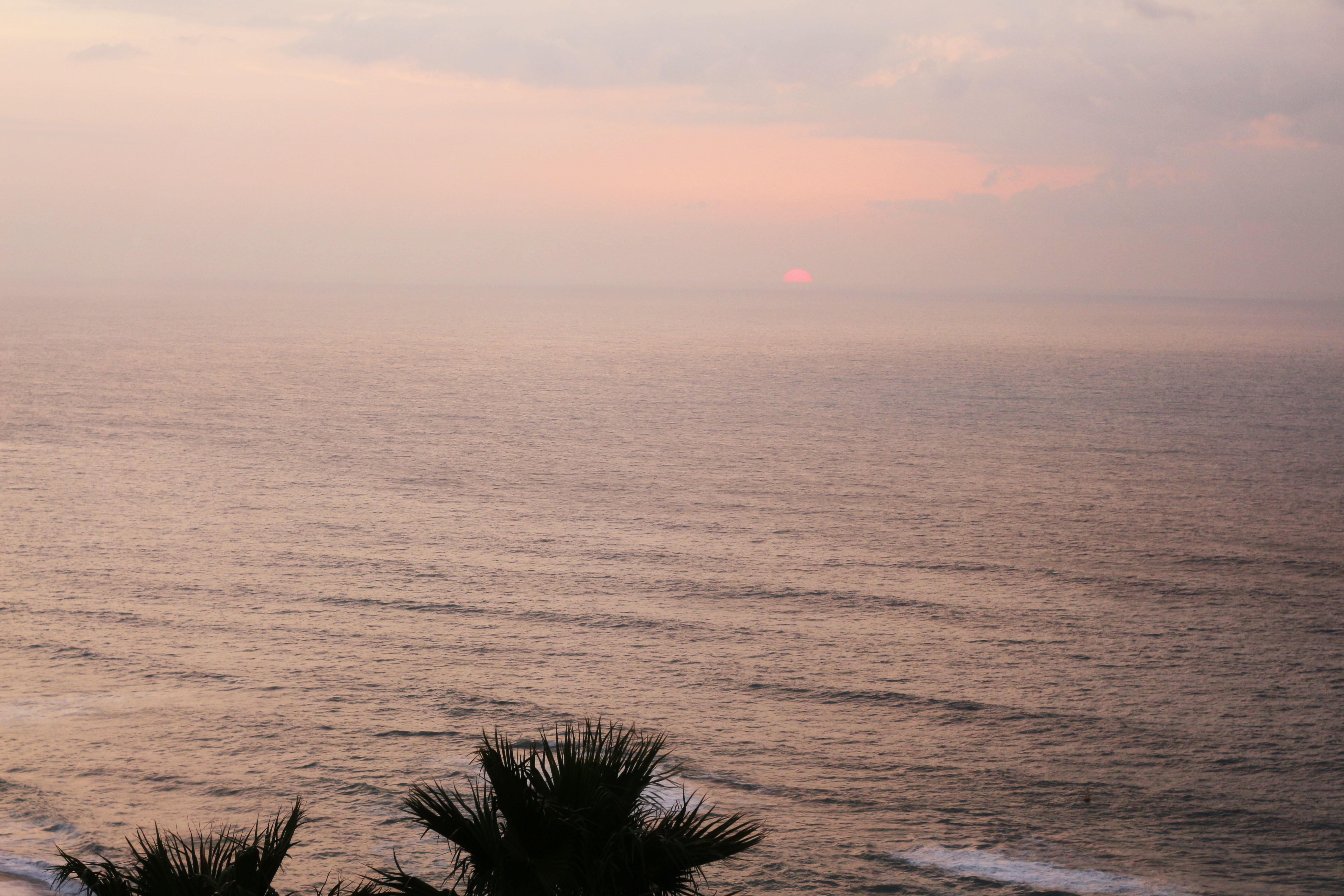 di dau Tet Nguyen Dan anh 6