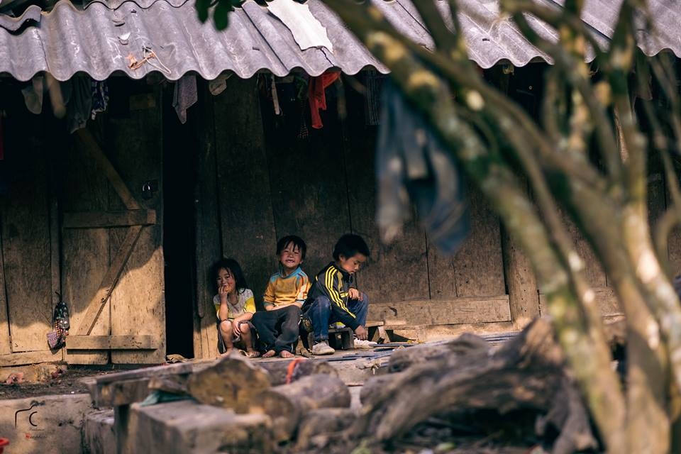 di dau Tet Nguyen Dan anh 1