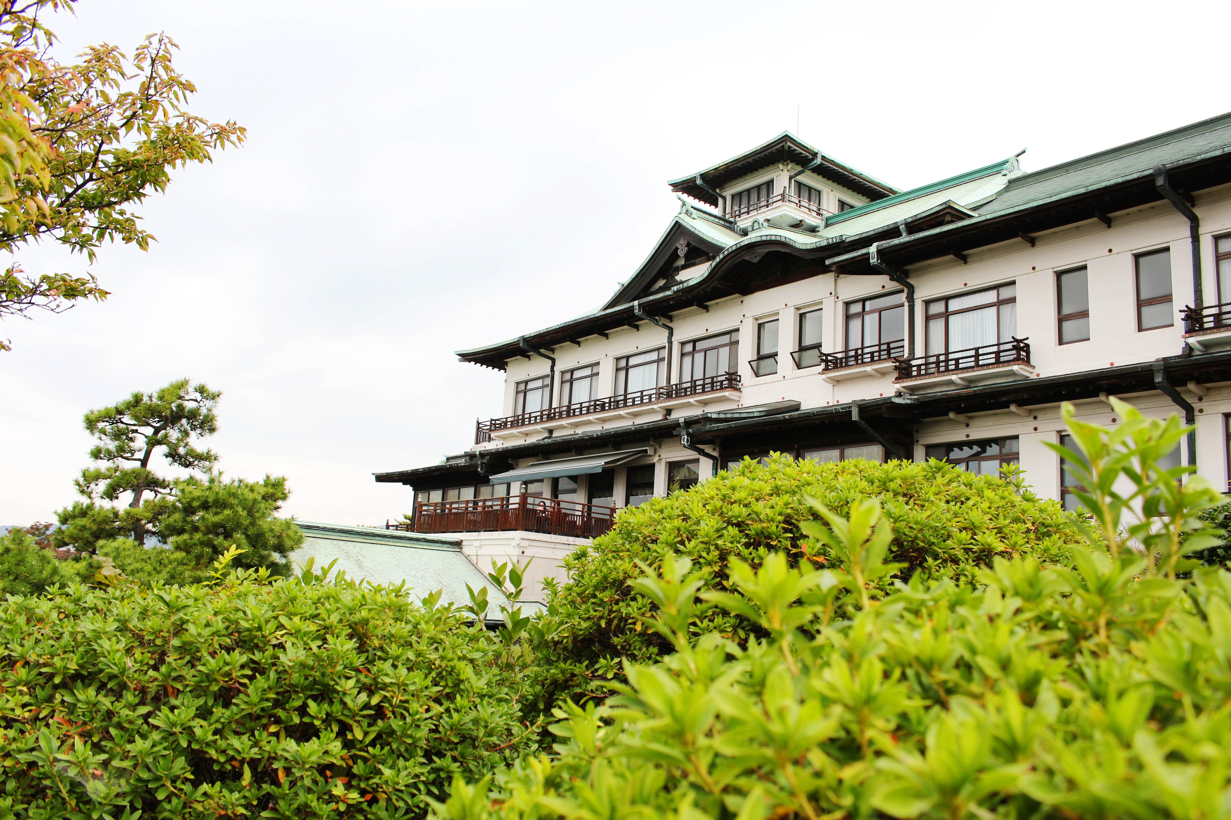 di dau Tet Nguyen Dan anh 13