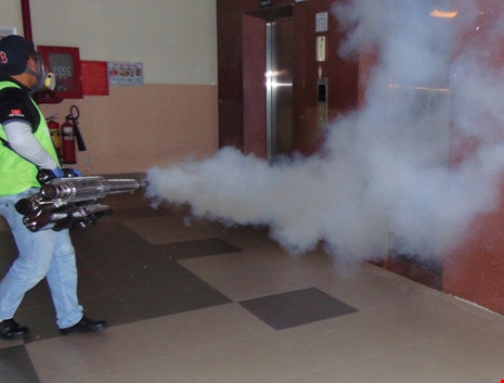 sốt xuất huyết ảnh 1 sot xuat huyet anh 1