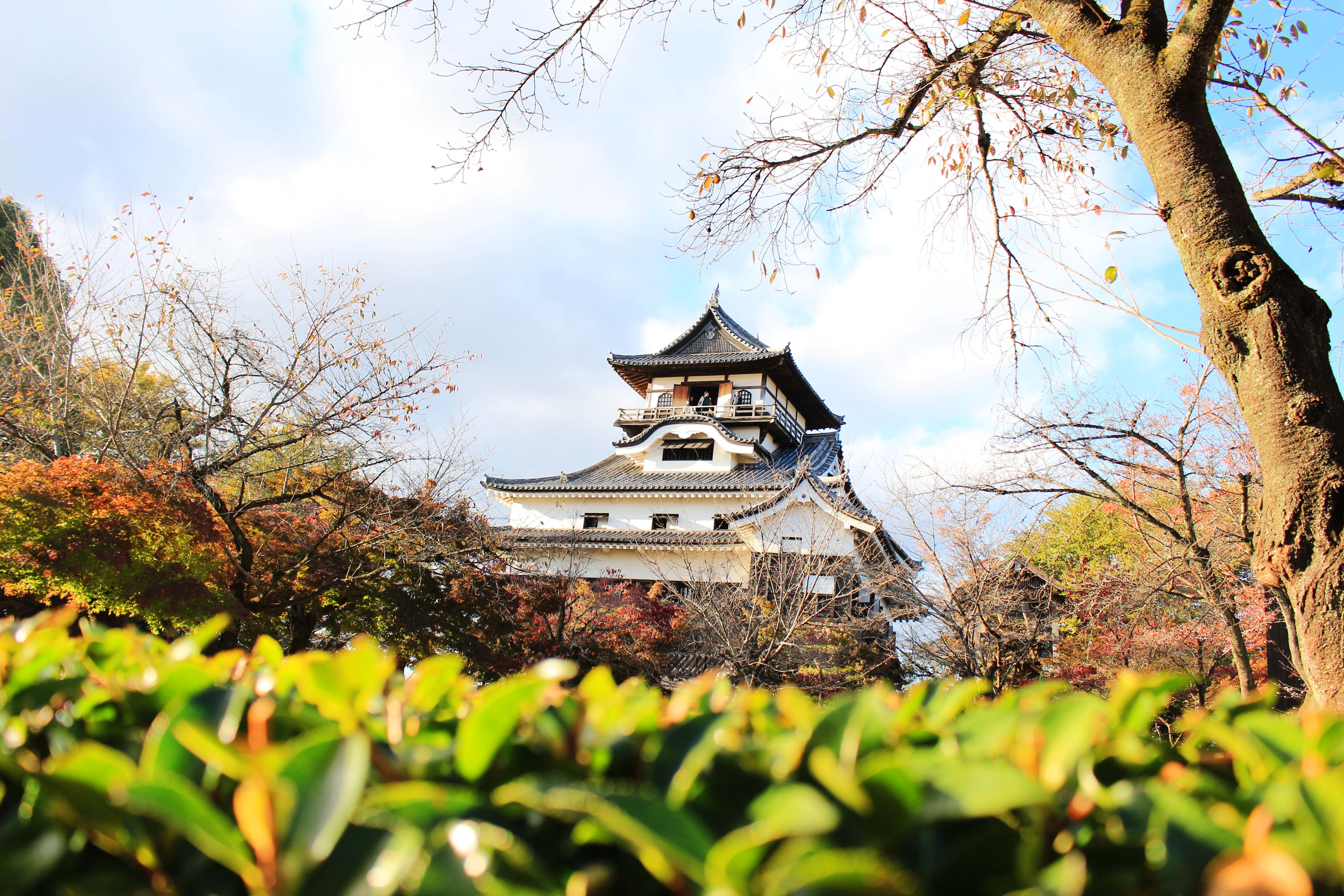 xu hướng du lịch Tết Nguyên Đán ảnh 2 xu huong du lich Tet Nguyen Dan anh 2
