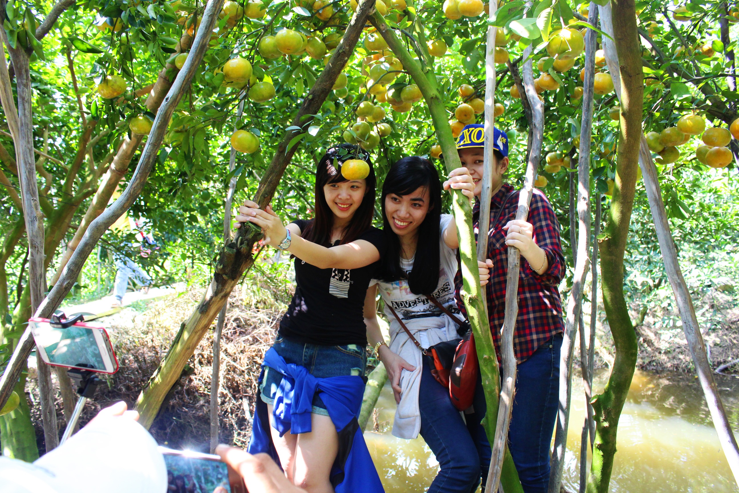 xu hướng du lịch Tết Nguyên Đán ảnh 3 xu huong du lich Tet Nguyen Dan anh 3