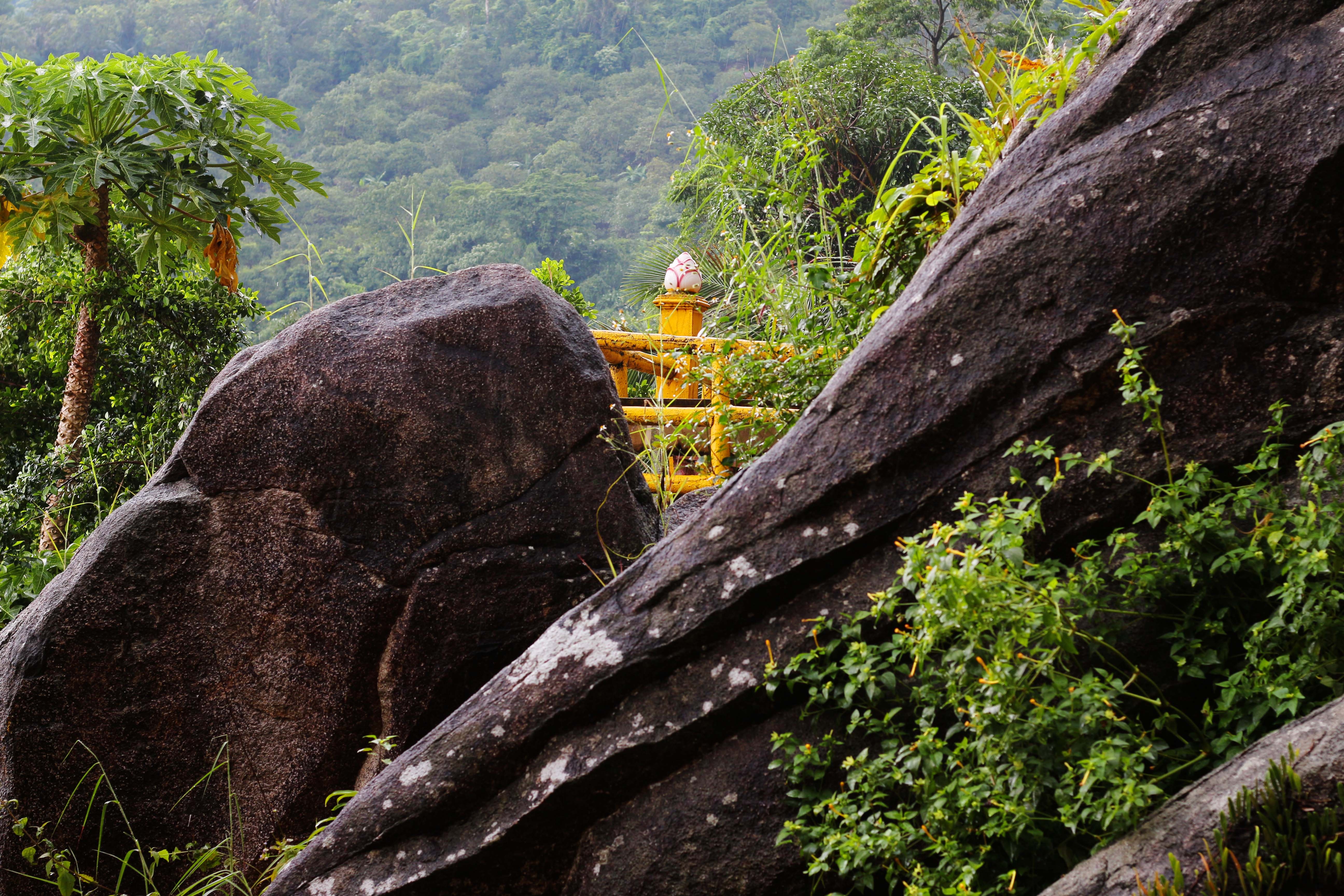 du lich Tet Nguyen Dan anh 9