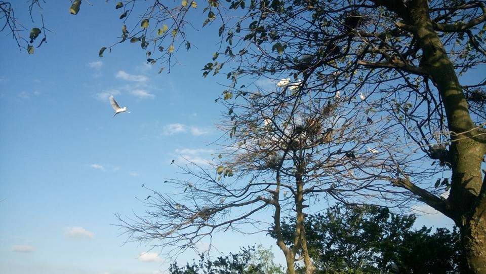 du lịch Tết Nguyên Đán ảnh 3 du lich Tet Nguyen Dan anh 3