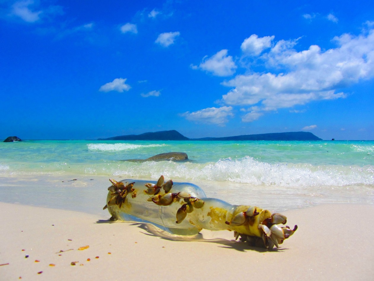 du lịch dịp Tết Nguyên Đán ảnh 4 du lich dip Tet Nguyen Dan anh 4