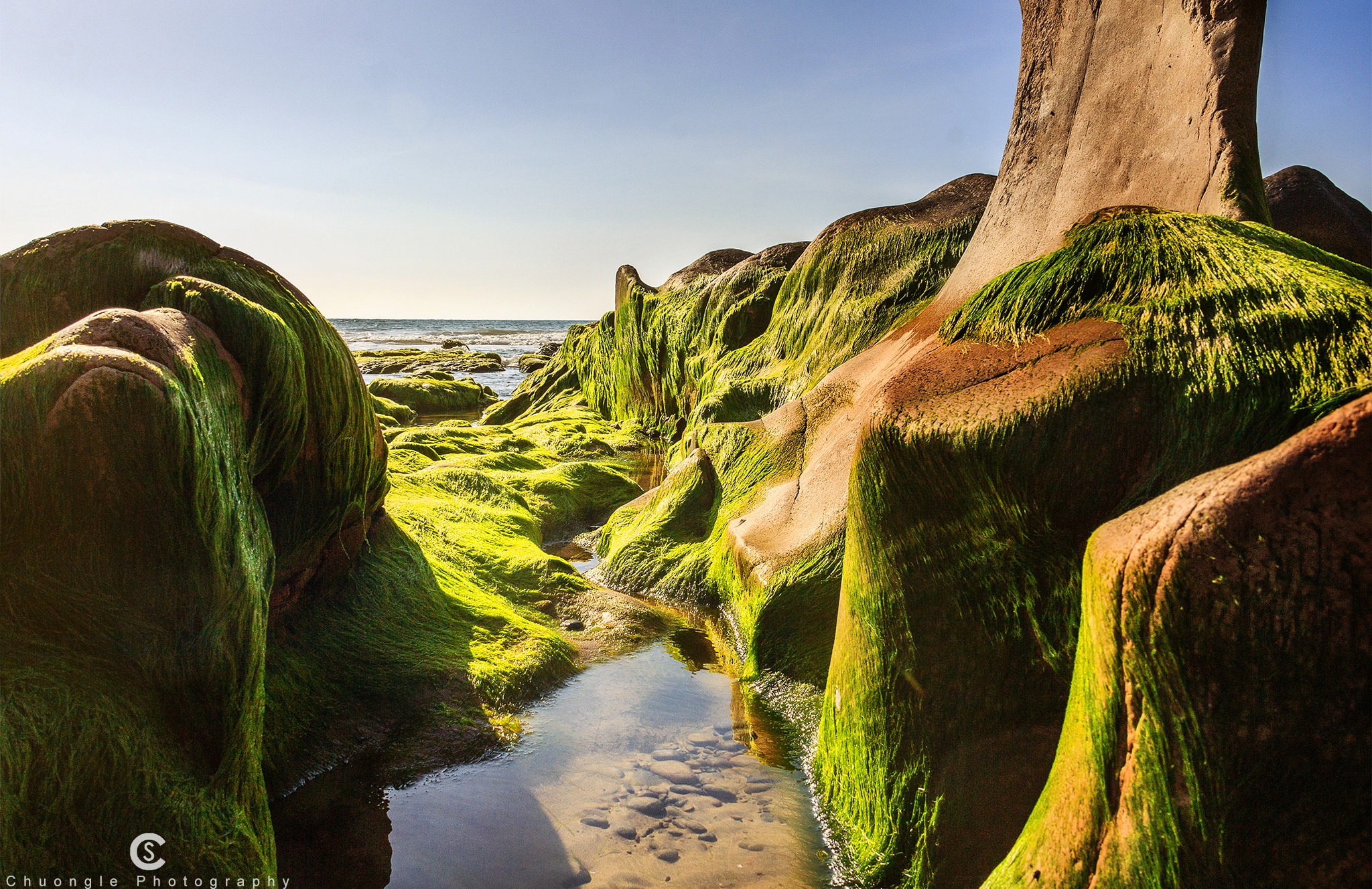 đi biển ngày Tết ảnh 9 di bien ngay Tet anh 9