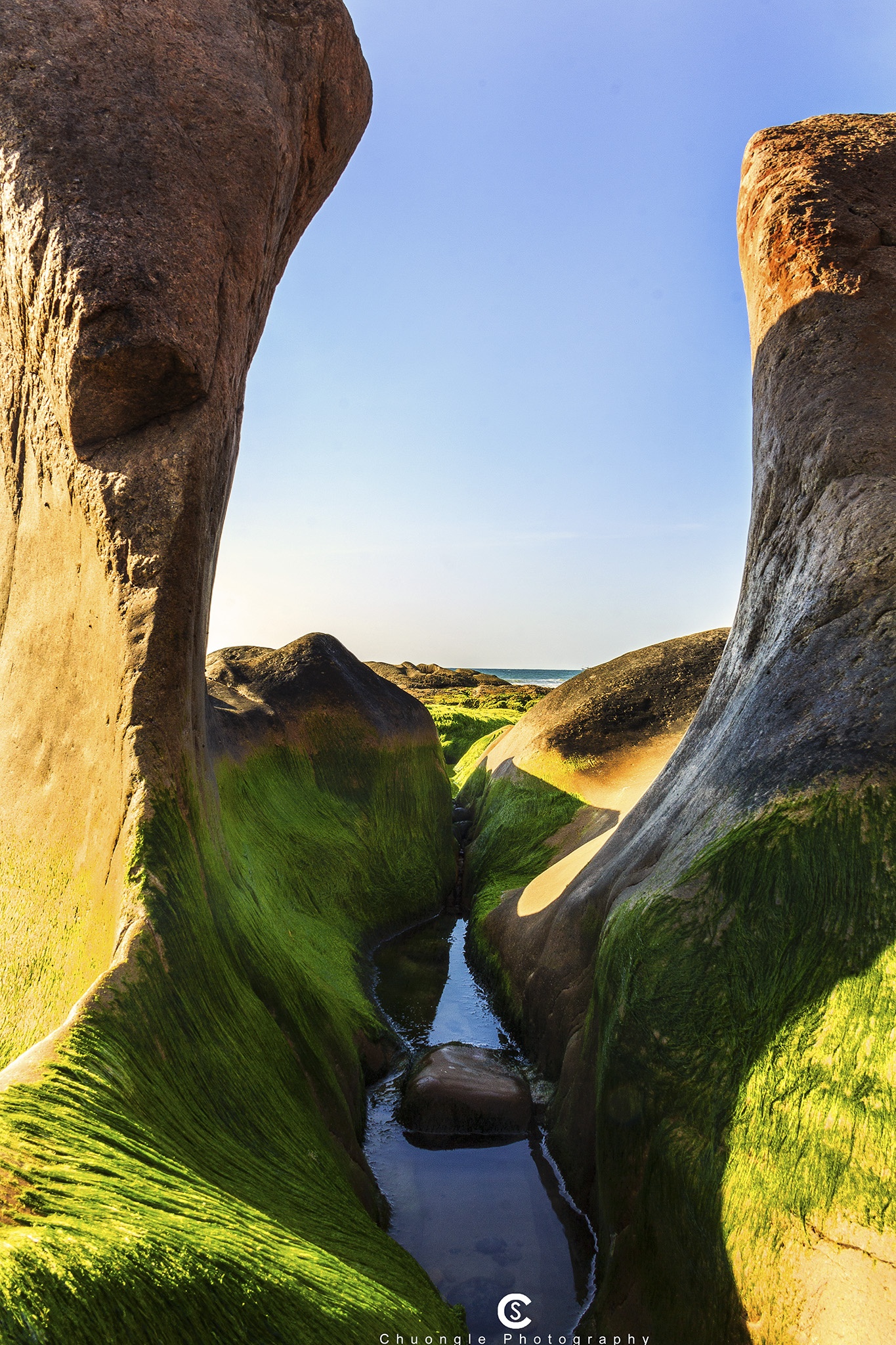 phượt Cổ Thạch mùa rêu đá ảnh 3 phuot Co Thach mua reu da anh 3