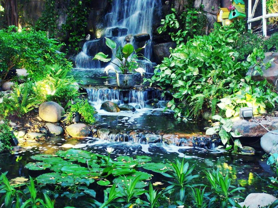 những quán cà phê hẹn hò valentine  ảnh 9 nhung quan ca phe hen ho valentine anh 9