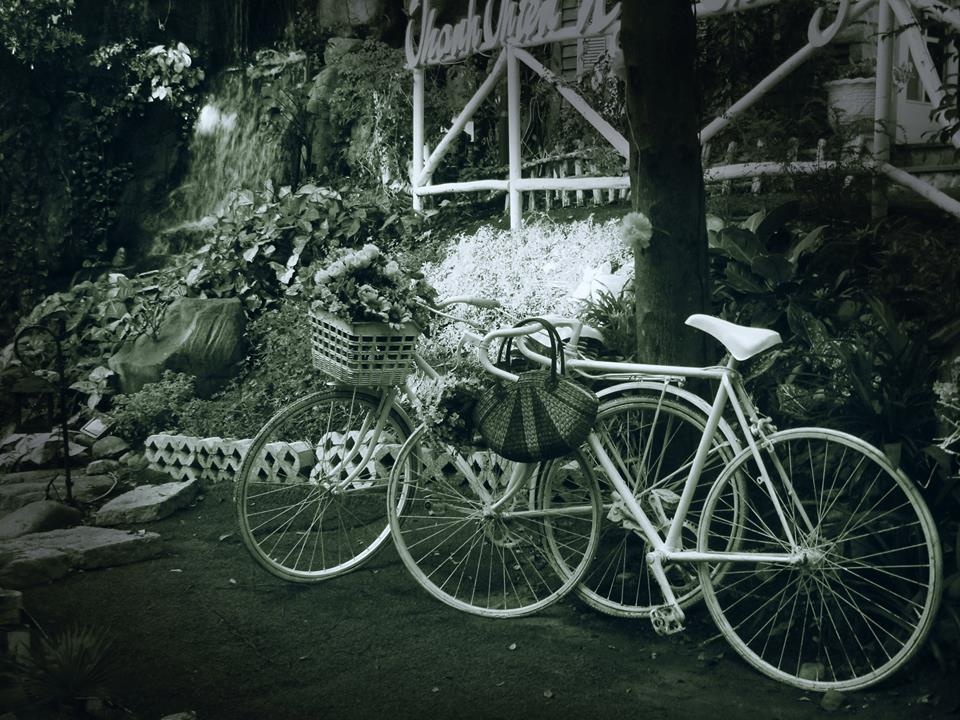 những quán cà phê hẹn hò valentine  ảnh 10 nhung quan ca phe hen ho valentine anh 10