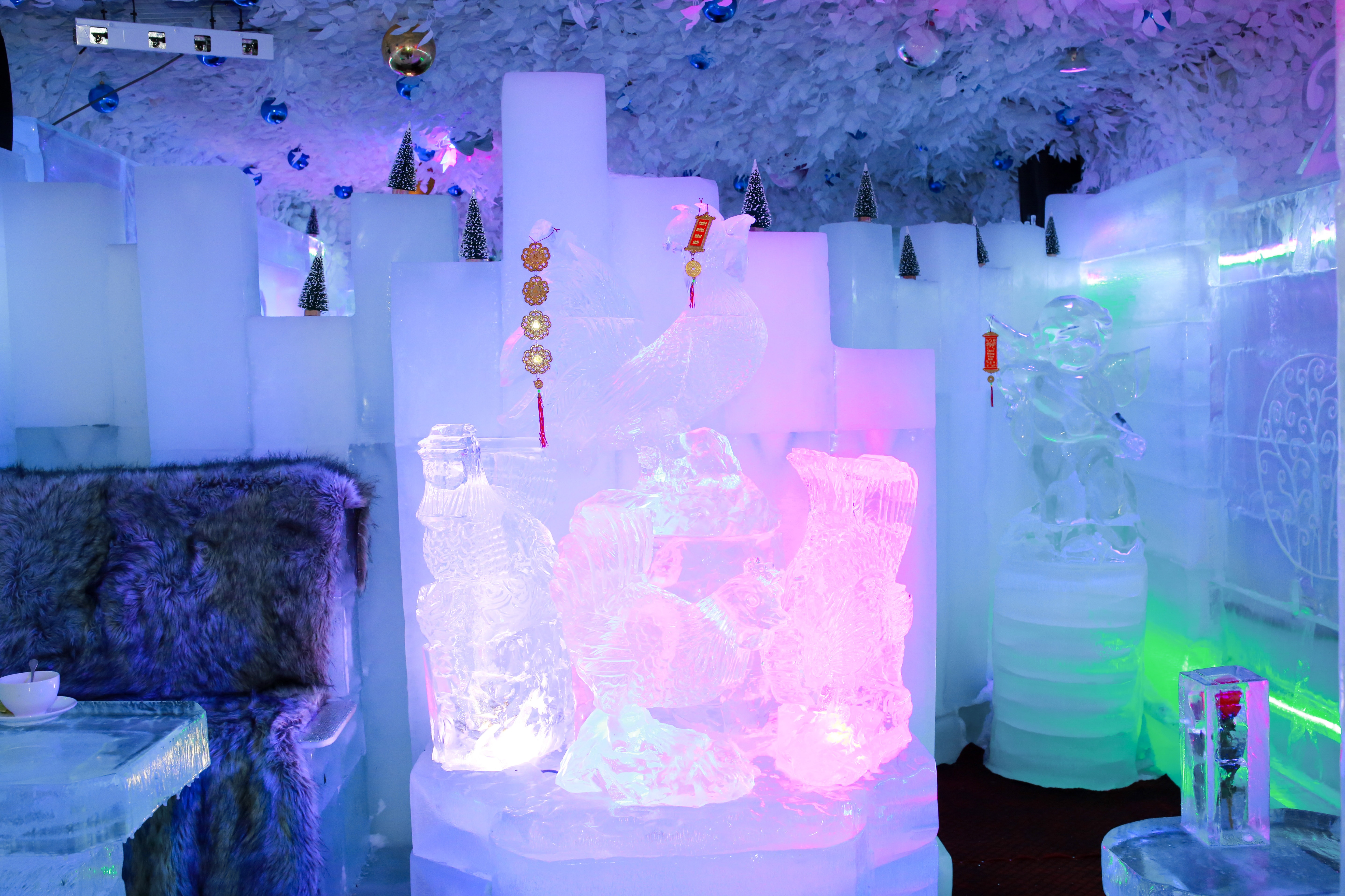 Cà phê băng ảnh 6 Ca phe bang anh 6