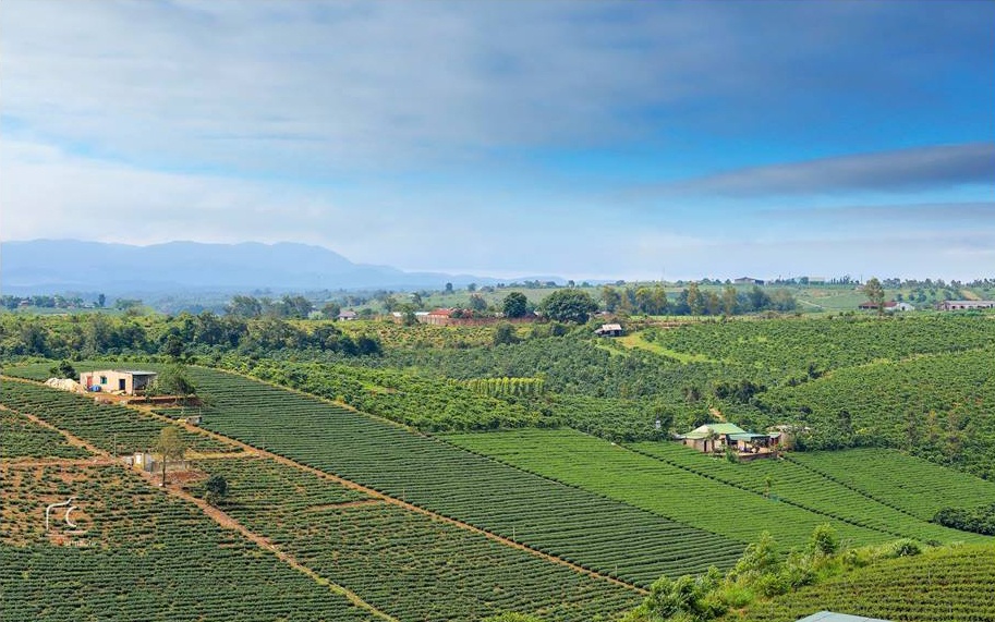 phượt Di Linh ảnh 2 phuot Di Linh anh 2