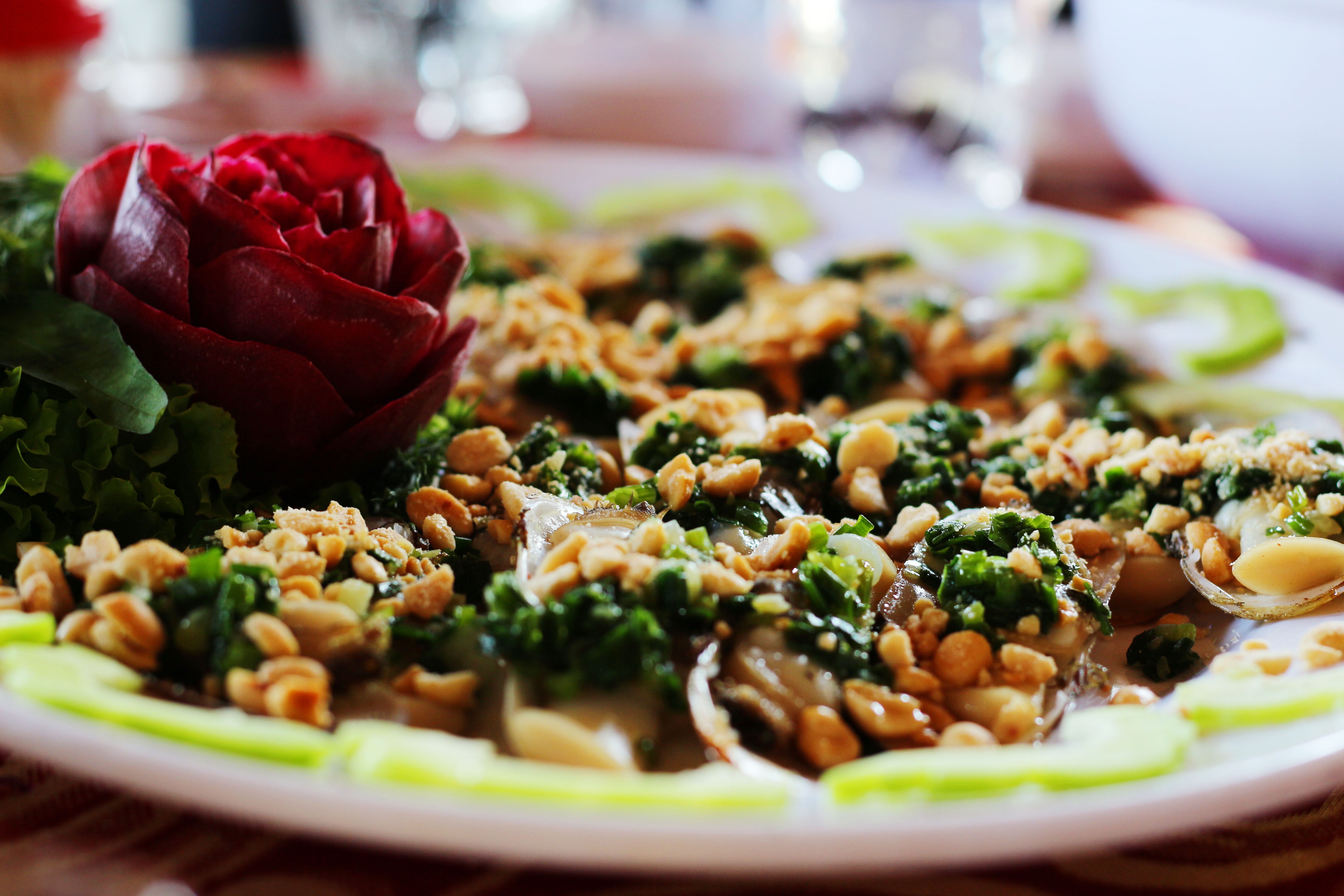 Du lich Can Gio anh 2