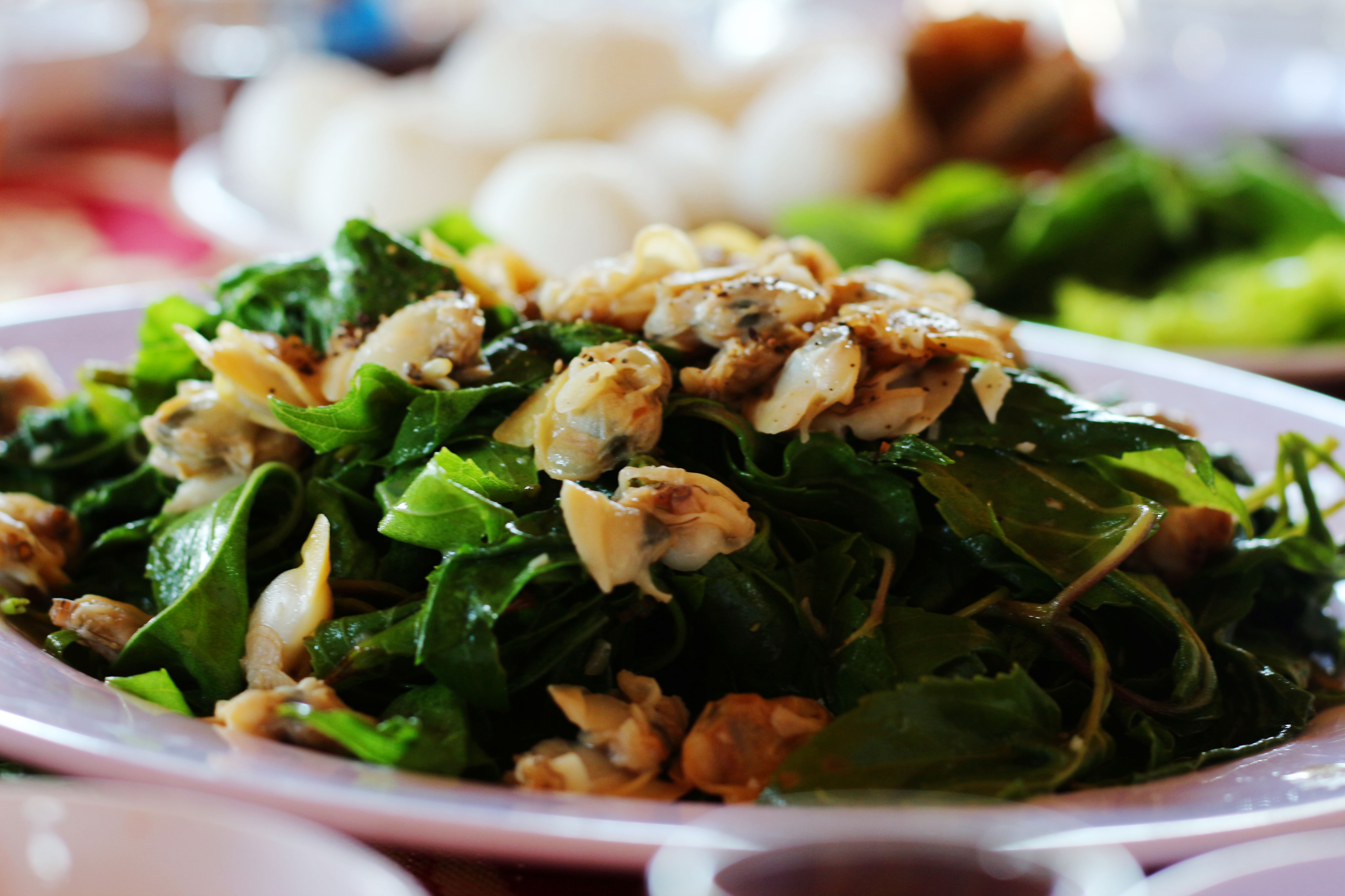 Du lich Can Gio anh 4