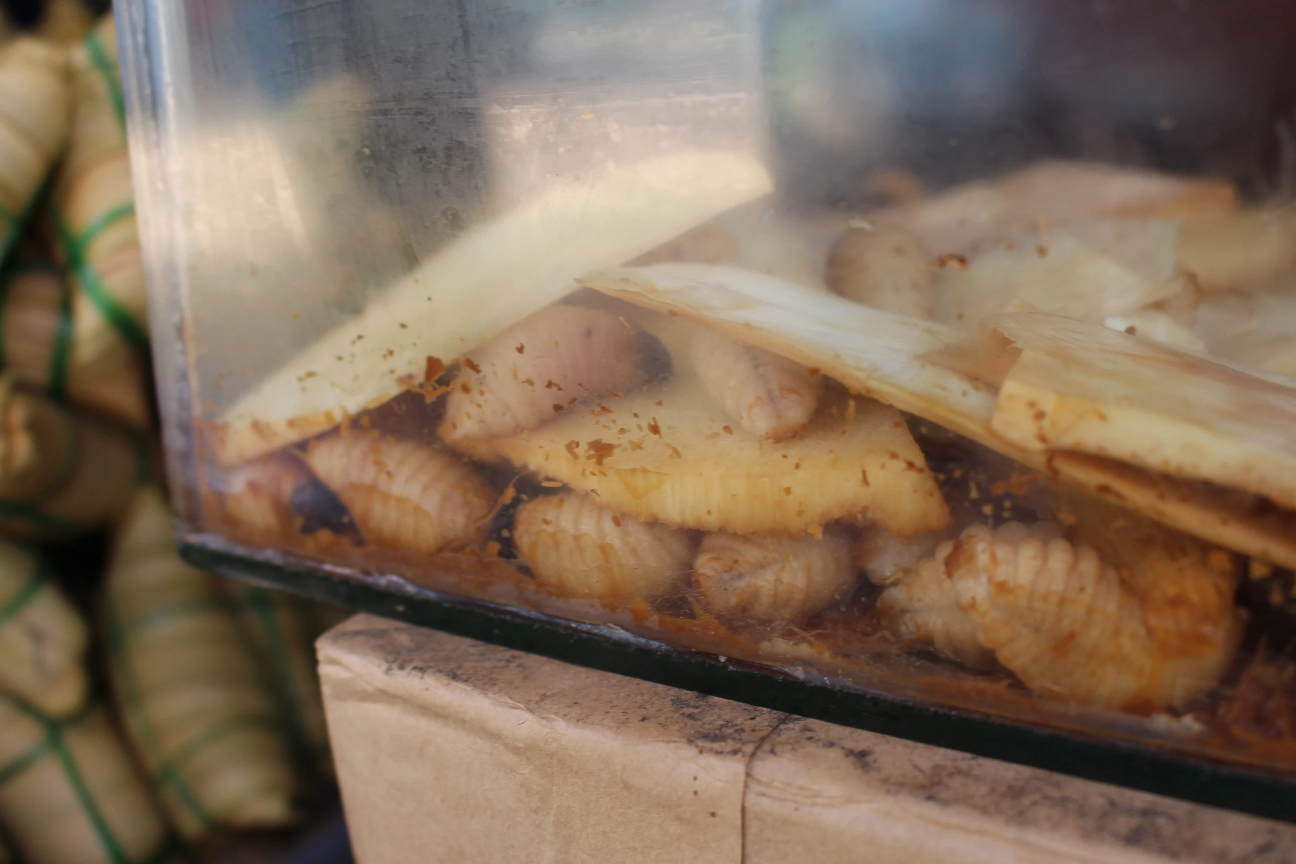 nhung mon an kinh di anh 6