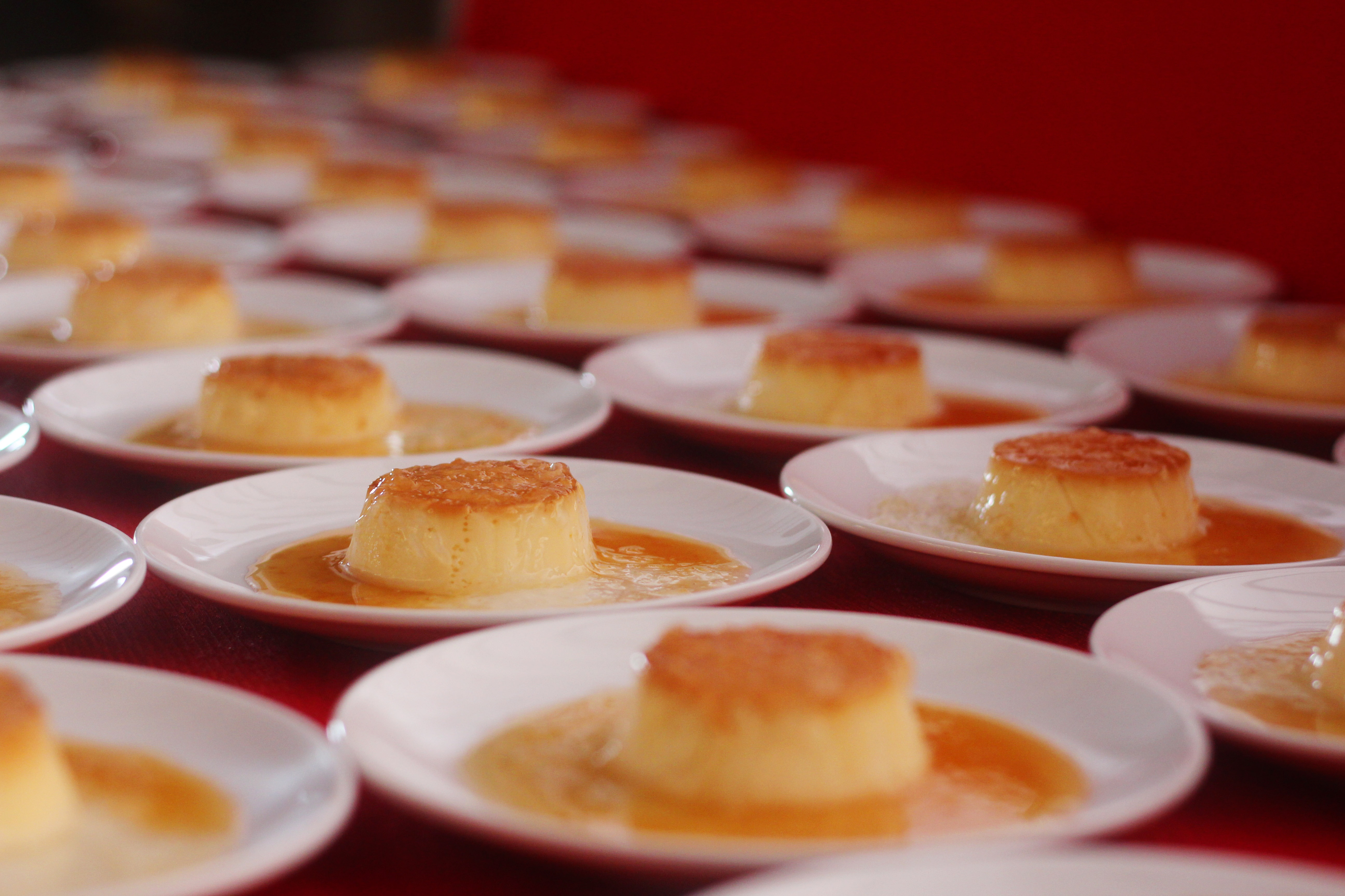 du lịch Cần Giờ ảnh 11 du lich Can Gio anh 11