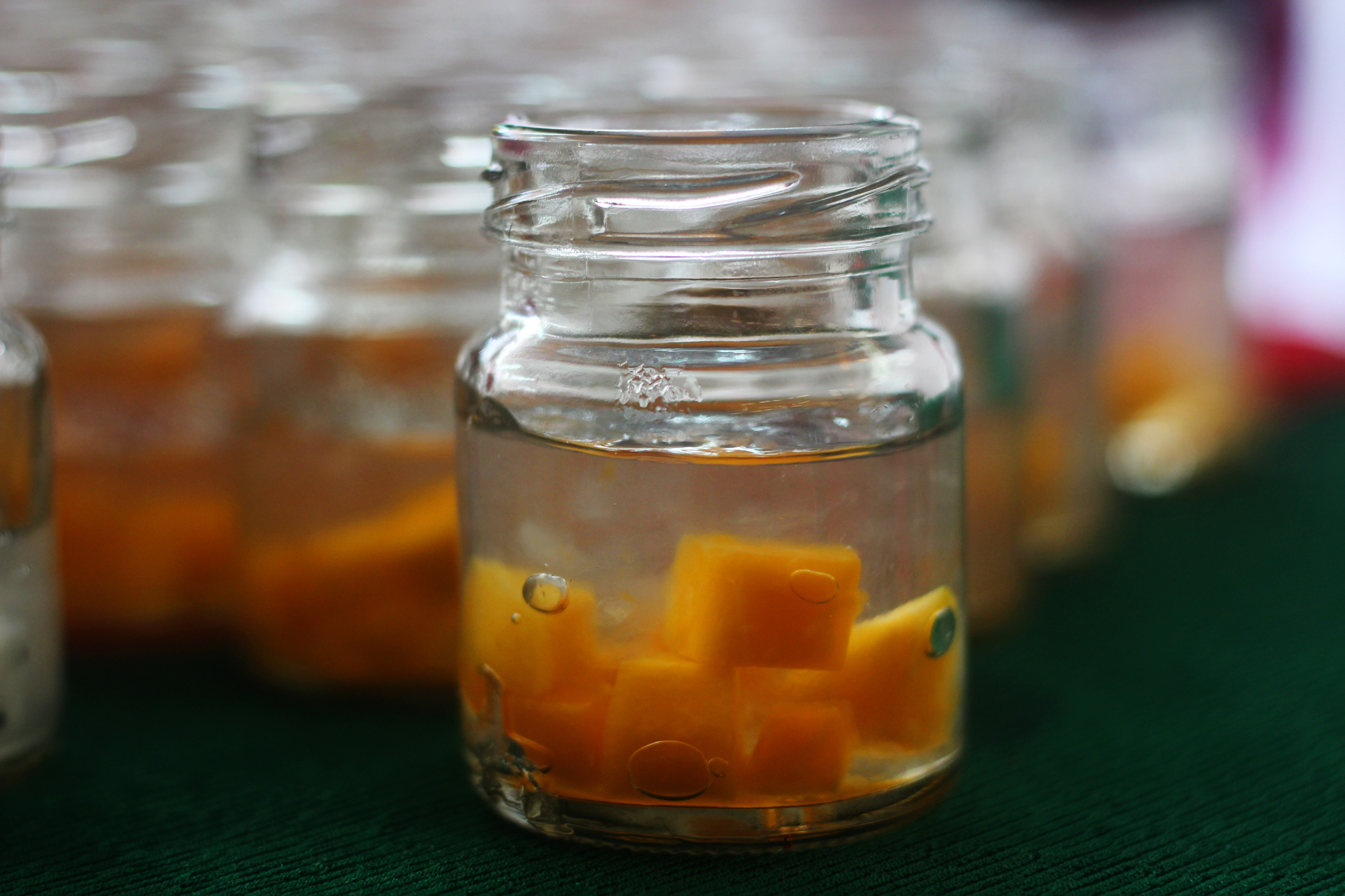 du lịch Cần Giờ ảnh 12 du lich Can Gio anh 12