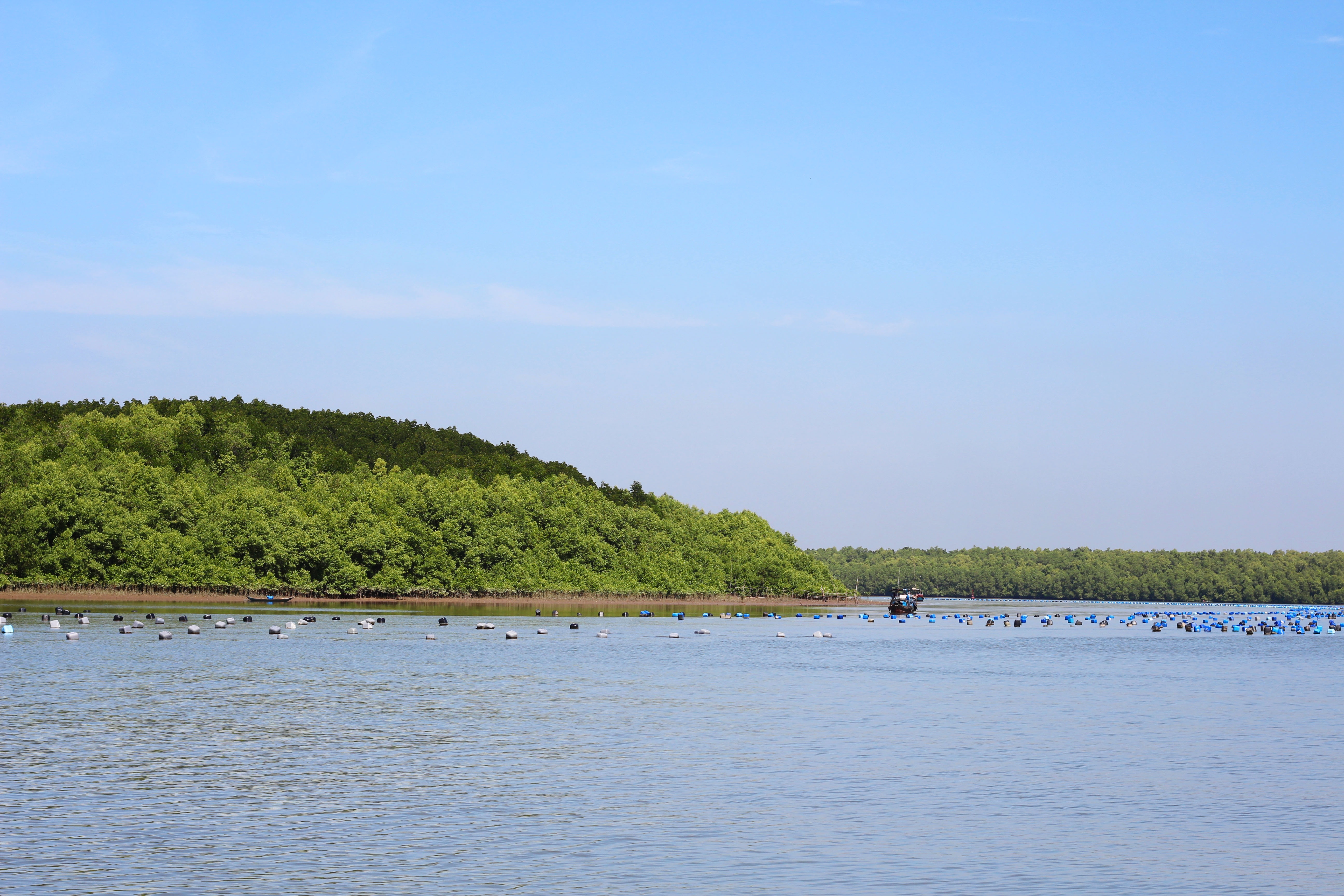 du lịch Cần Giờ ảnh 9 du lich Can Gio anh 9