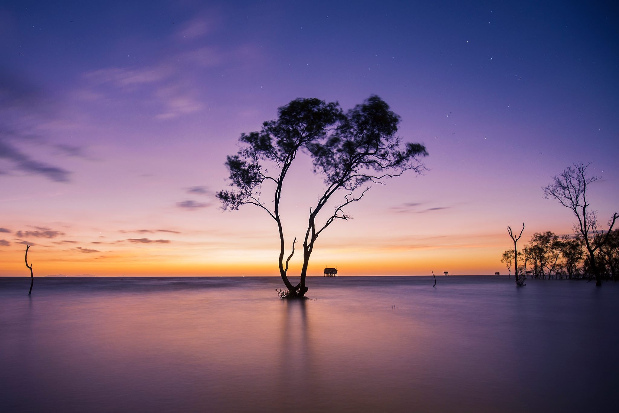 Nhung bai bien cua mien Nam anh 9