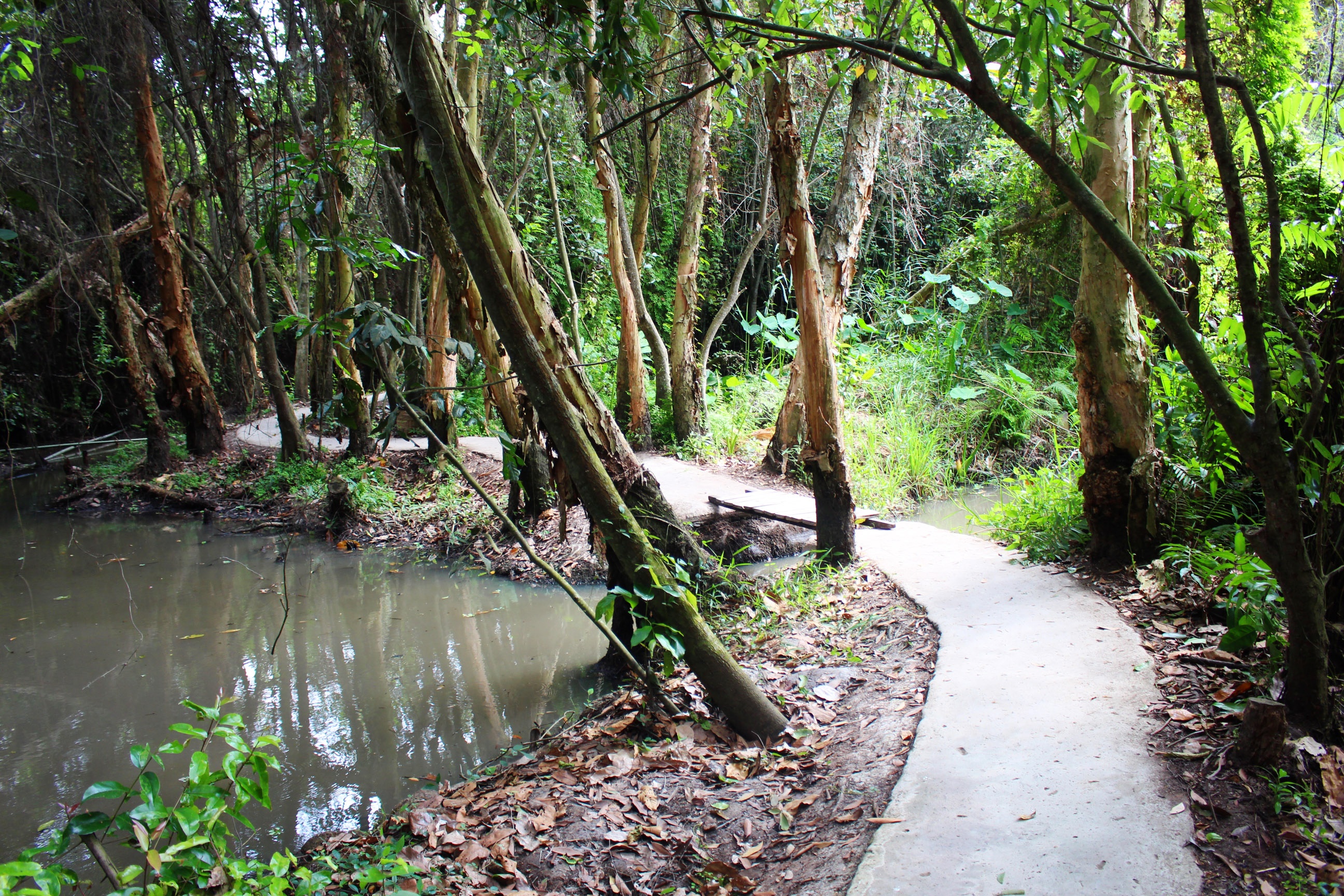 ung tram mien Tay anh 14