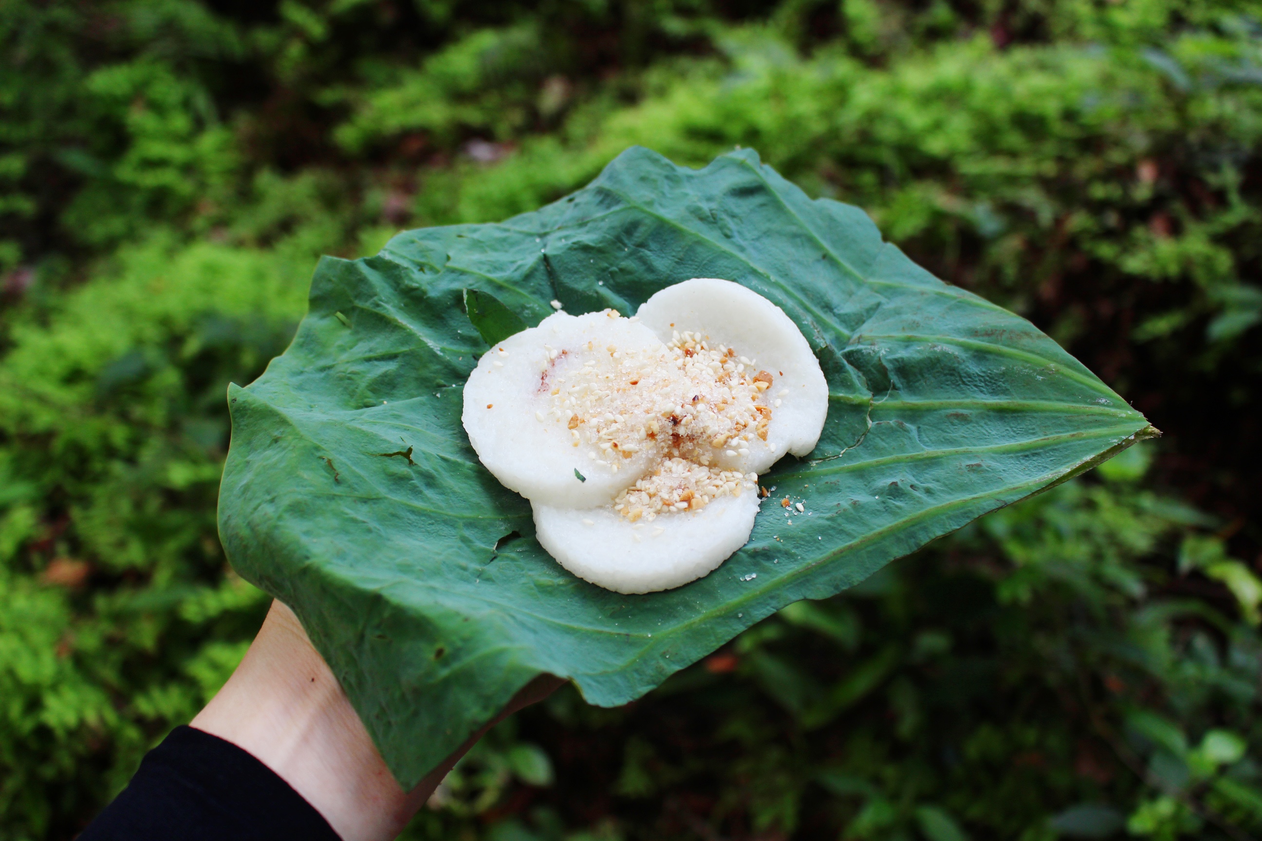 ung tram mien Tay anh 9