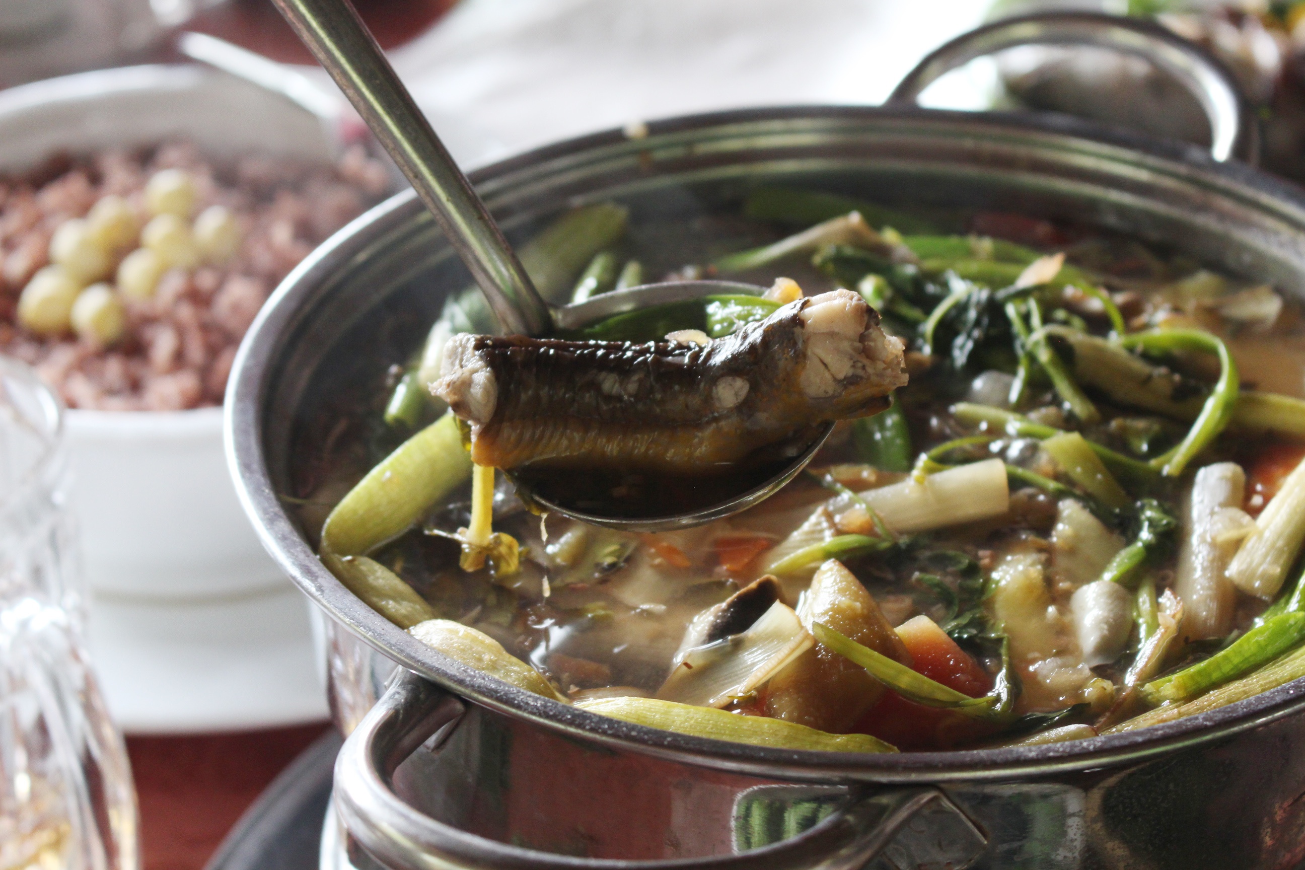 ung tram mien Tay anh 15