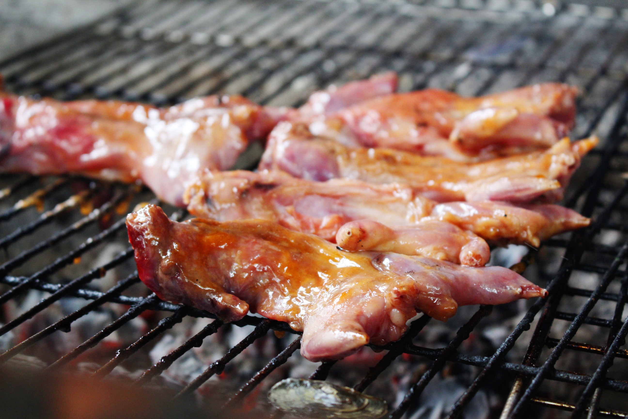 ung tram mien Tay anh 12