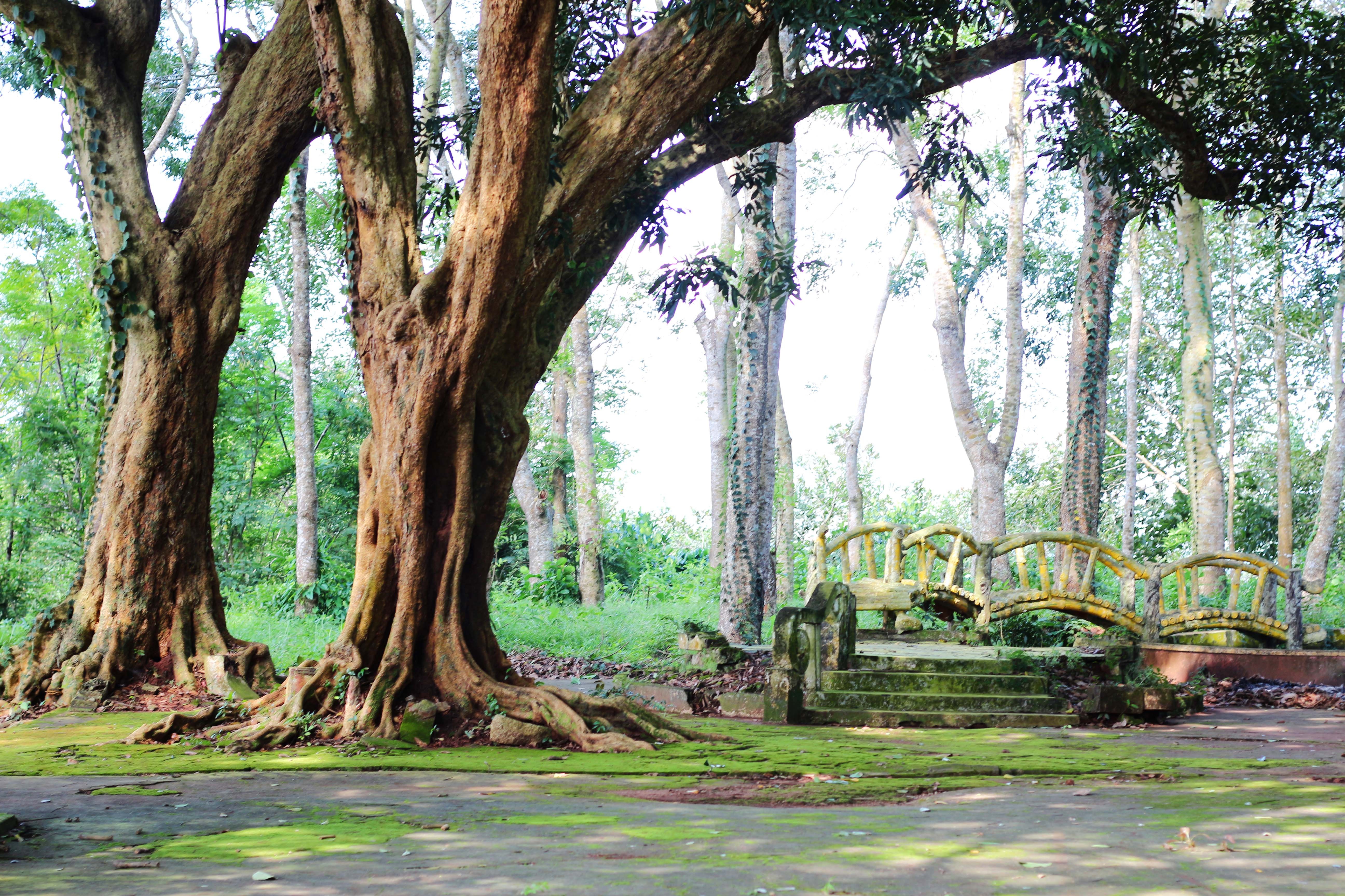 Nhung diem den 1 trieu cho dip le anh 12