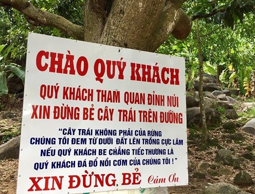 Nguoi dan nui Ba Den buc xuc vi du khach pha cay, hai trai hinh anh