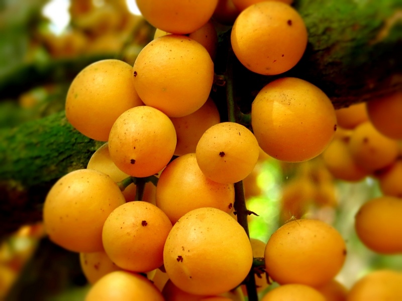 du lịch mùa hè ảnh 18 du lich mua he anh 18