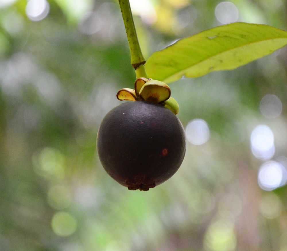 du lịch mùa hè ảnh 5 du lich mua he anh 5