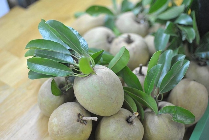 du lịch mùa hè ảnh 12 du lich mua he anh 12