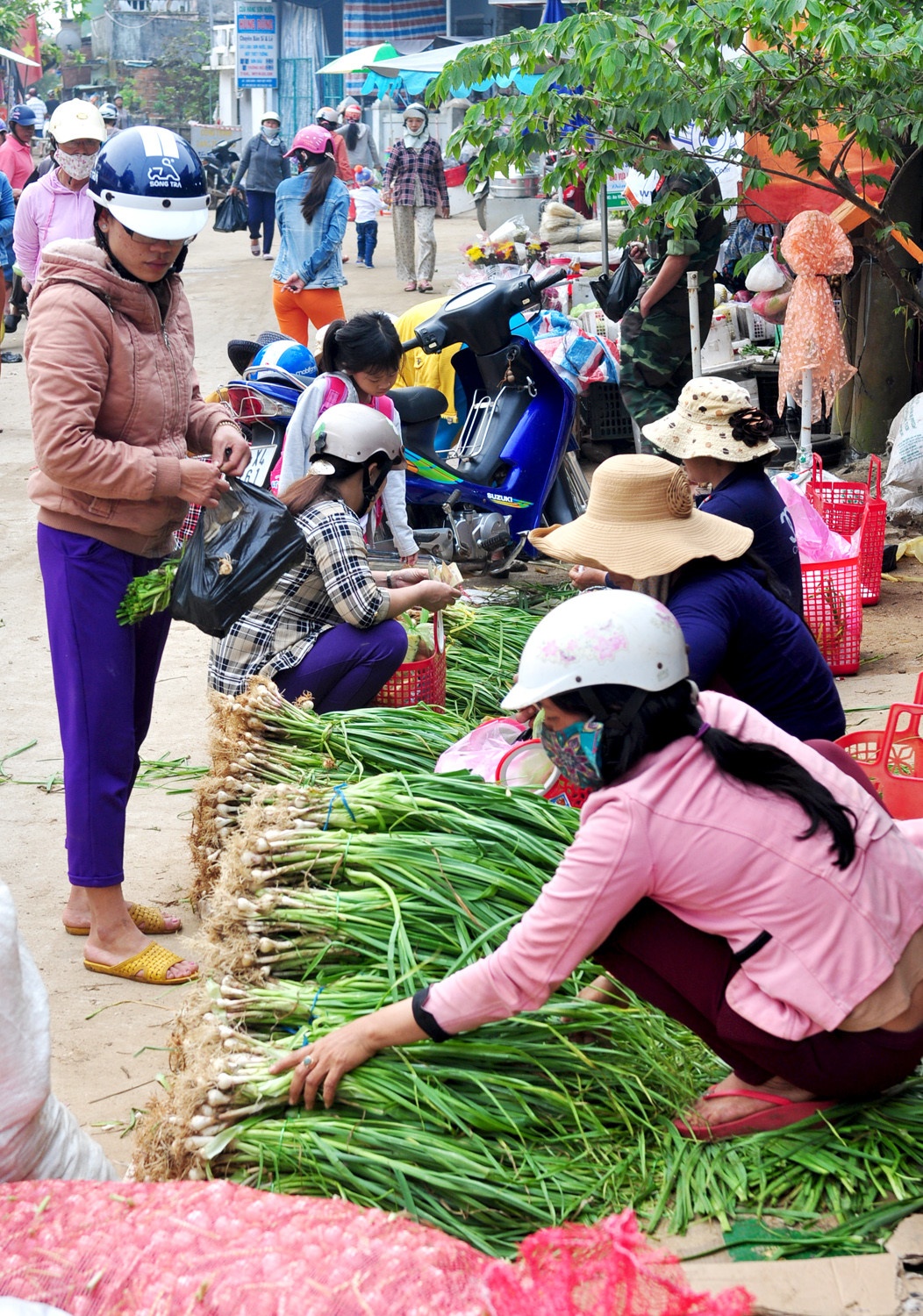 du lịch hè ảnh 6 du lich he anh 6