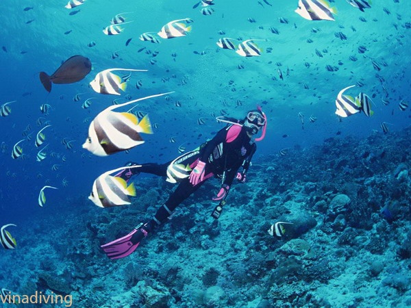 du lịch mùa hè ảnh 5 du lich mua he anh 5