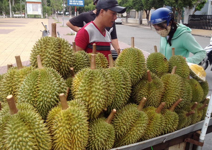 Xu phat nguoi tung tin 'sau rieng ngam hoa chat' hinh anh