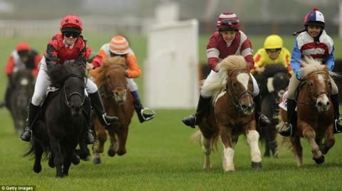 Nhung cuoc dua ngua ky la tren the gioi hinh anh