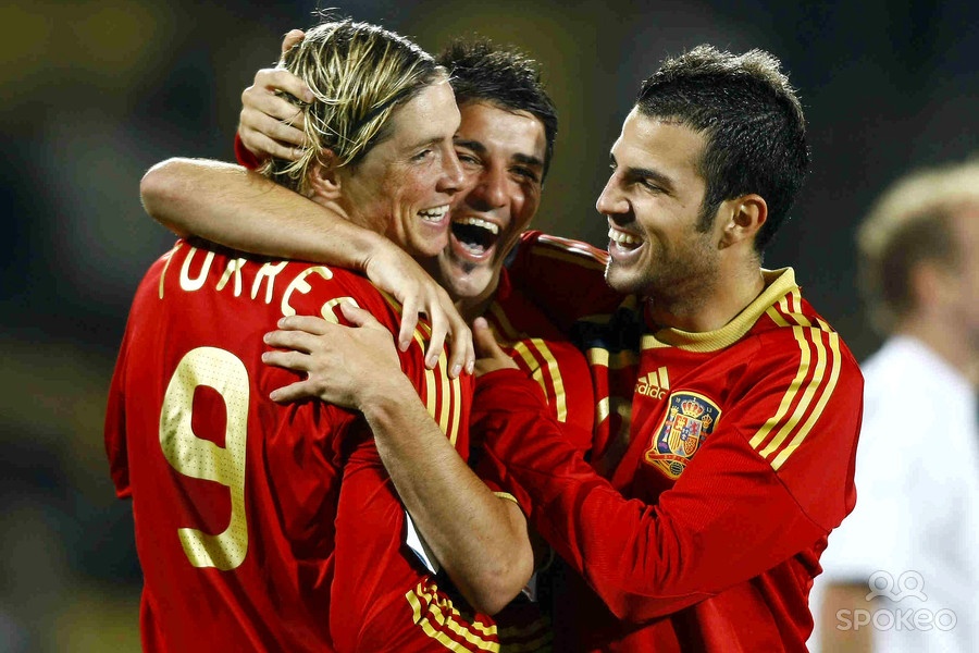 Diem qua 23 tuyen thu Tay Ban Nha du World Cup 2014 hinh anh