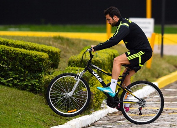 Fabregas mat tu tin truoc tran danh lon cua Tay Ban Nha hinh anh