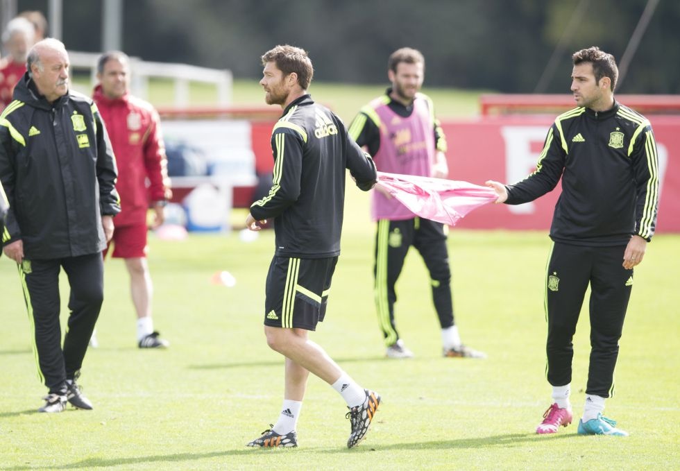 HLV Del Bosque noi gian duoi Fabregas khoi buoi tap hinh anh