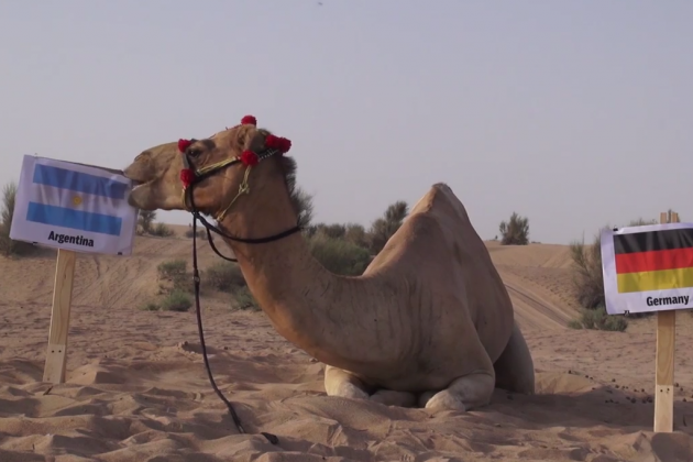 Lac da tien tri du doan Argentina vo dich World Cup 2014 hinh anh