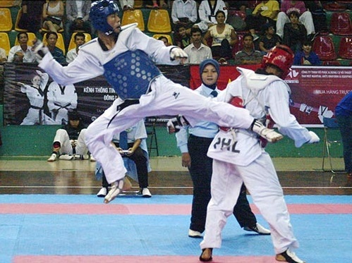 Taekwondo mang HCV thu 65 cho Viet Nam hinh anh