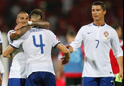 Tong hop tran dau: DT Albania 0-1 DT Bo Dao Nha hinh anh