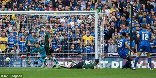 Cau thu 101 kg ghi ban cho Wimbledon anh 3