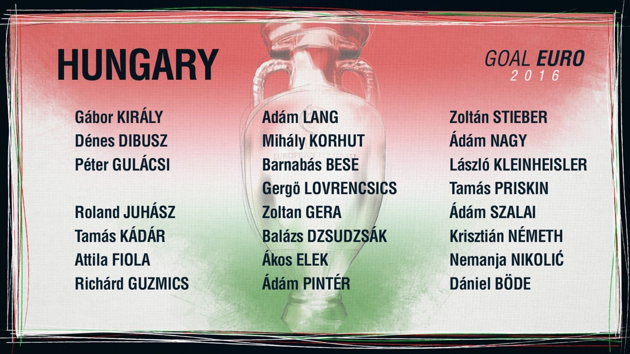 Danh dach 24 doi tuyen du EURO 2016 anh 24