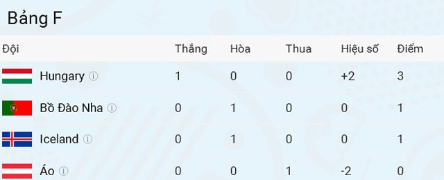Tran DT Bo Dao Nha vs DT Iceland anh 1