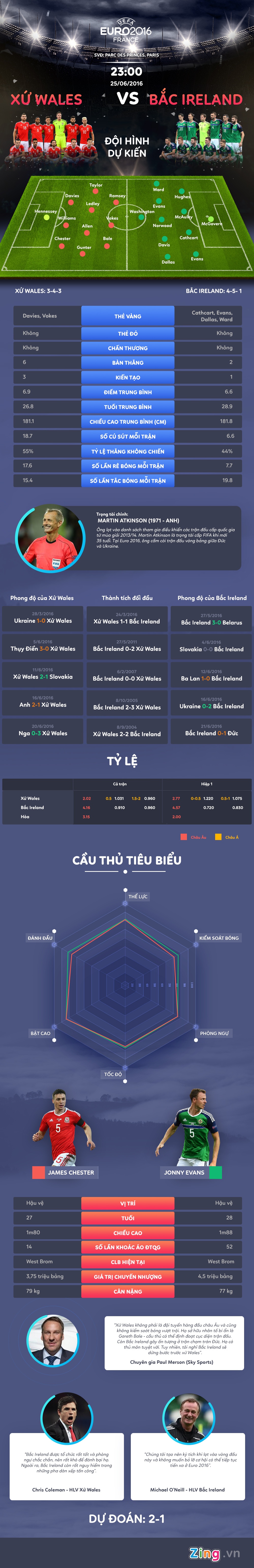 Tran xu Wales vs Bac Ireland anh 1