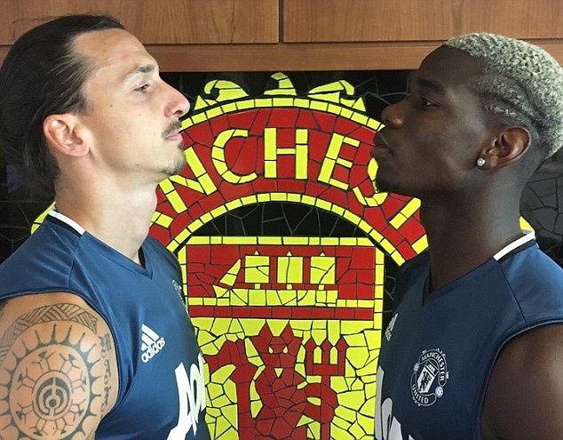 Ibrahimovic lam Pogba tro nen noi tieng anh 1