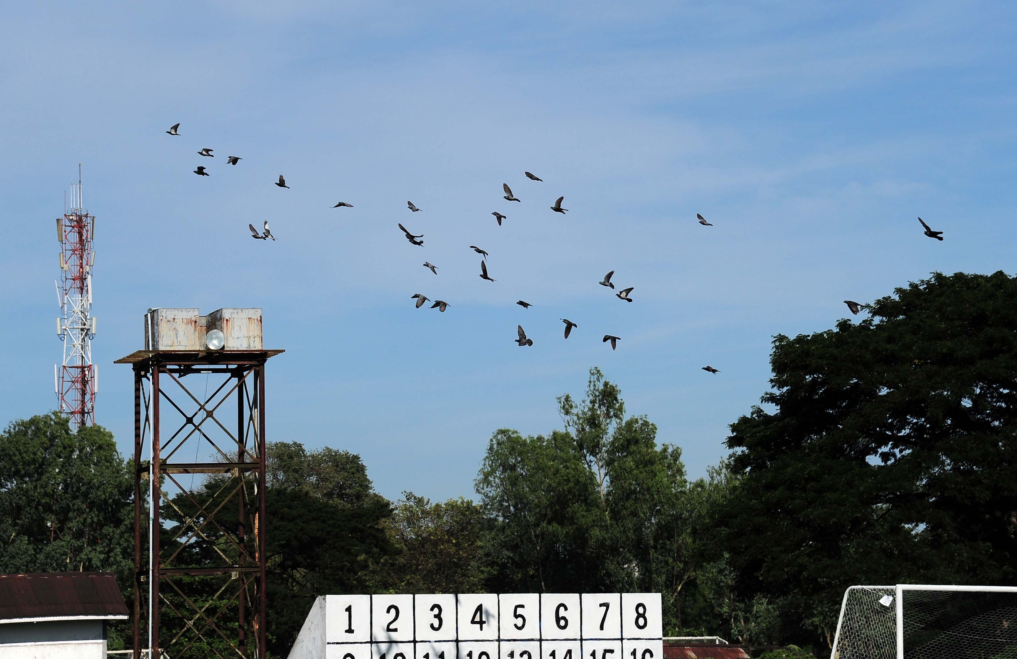 Tuyển Việt Nam tập trên sân tồi tàn ảnh 2 Tuyen Viet Nam tap tren san toi tan anh 2