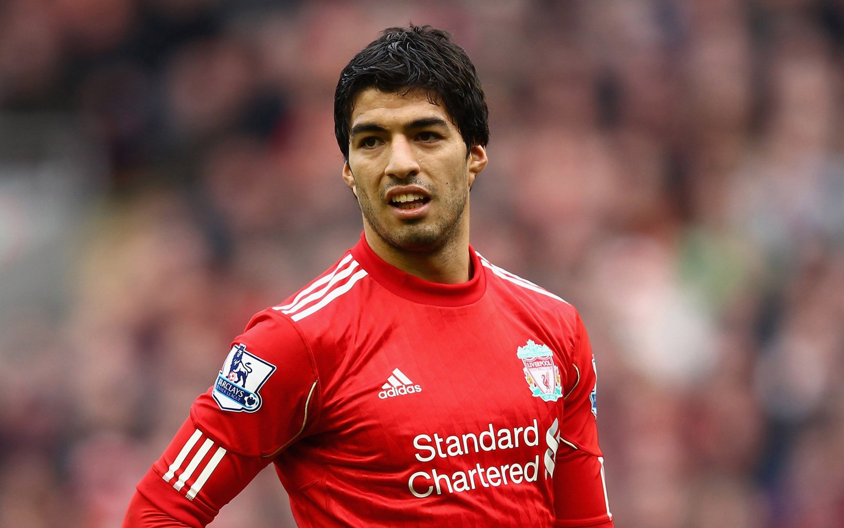 5 hợp đồng thành công trong tháng 1 ảnh 1 5 hop dong thanh cong trong thang 1 anh 1