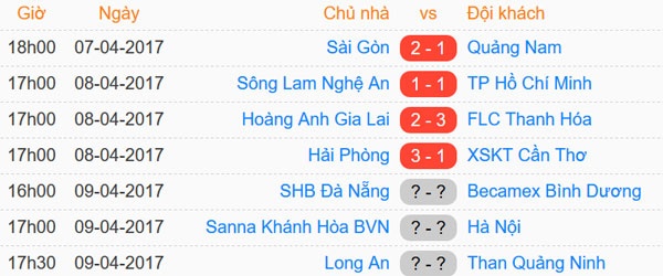 Tran CLB HAGL vs CLB Thanh Hoa anh 1