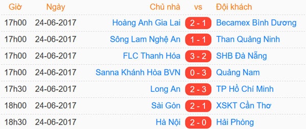 Tran HAGL vs CLB Binh Duong anh 2